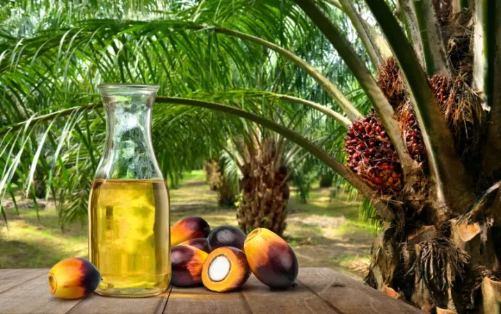 Palma yağı ilə soya yağı arasındakı qiymət fərqi 2,5 ilin ən yüksək səviyyəsində