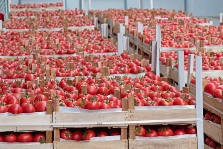Azərbaycanın qeyri-neft sektoru 7 ayda 2,5 milyard dollarlıq ixraca nail olub